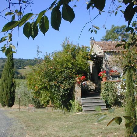 Piccolo Sole Villa Montescudaio Bagian luar foto