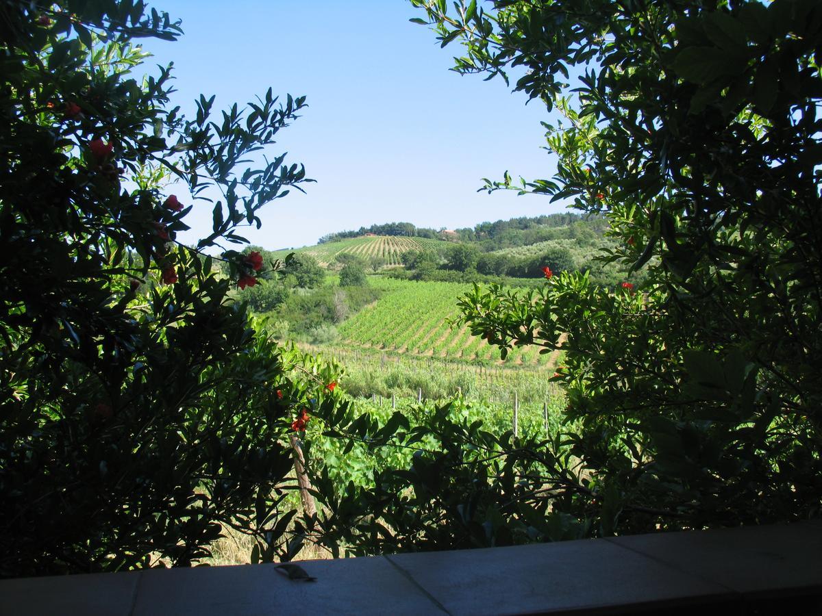Piccolo Sole Villa Montescudaio Bagian luar foto