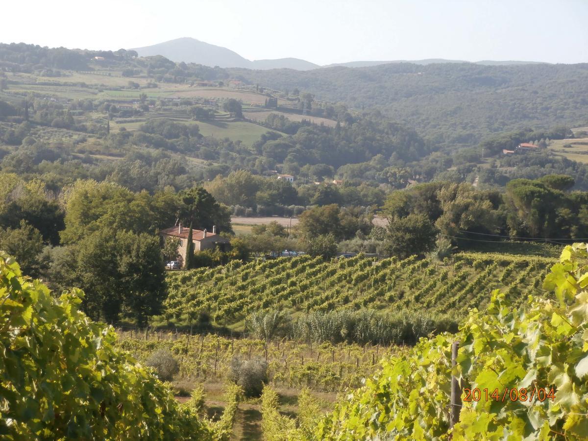 Piccolo Sole Villa Montescudaio Bagian luar foto