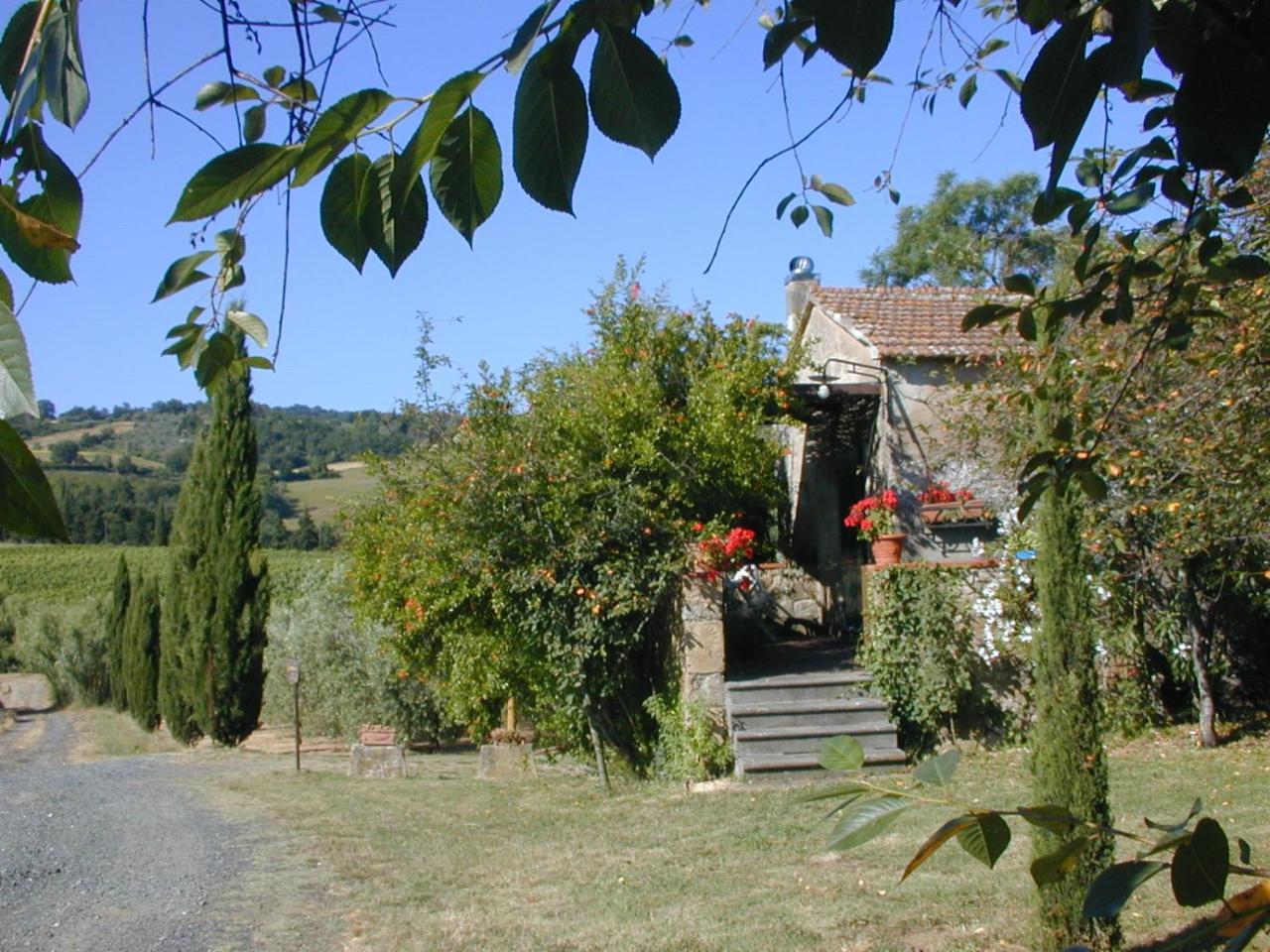 Piccolo Sole Villa Montescudaio Bagian luar foto