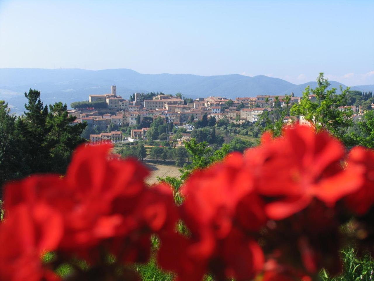 Piccolo Sole Villa Montescudaio Bagian luar foto