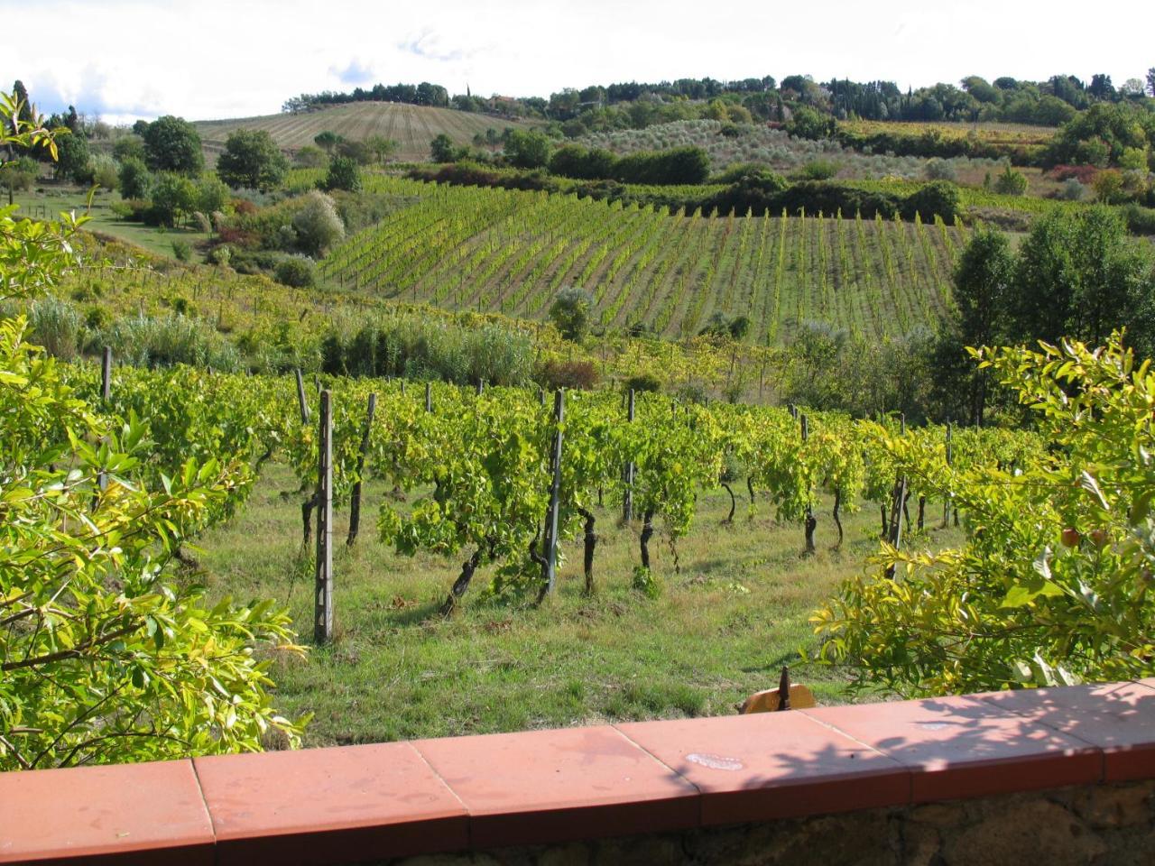 Piccolo Sole Villa Montescudaio Bagian luar foto
